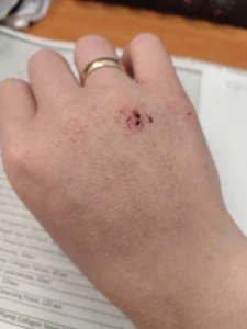Review image 1